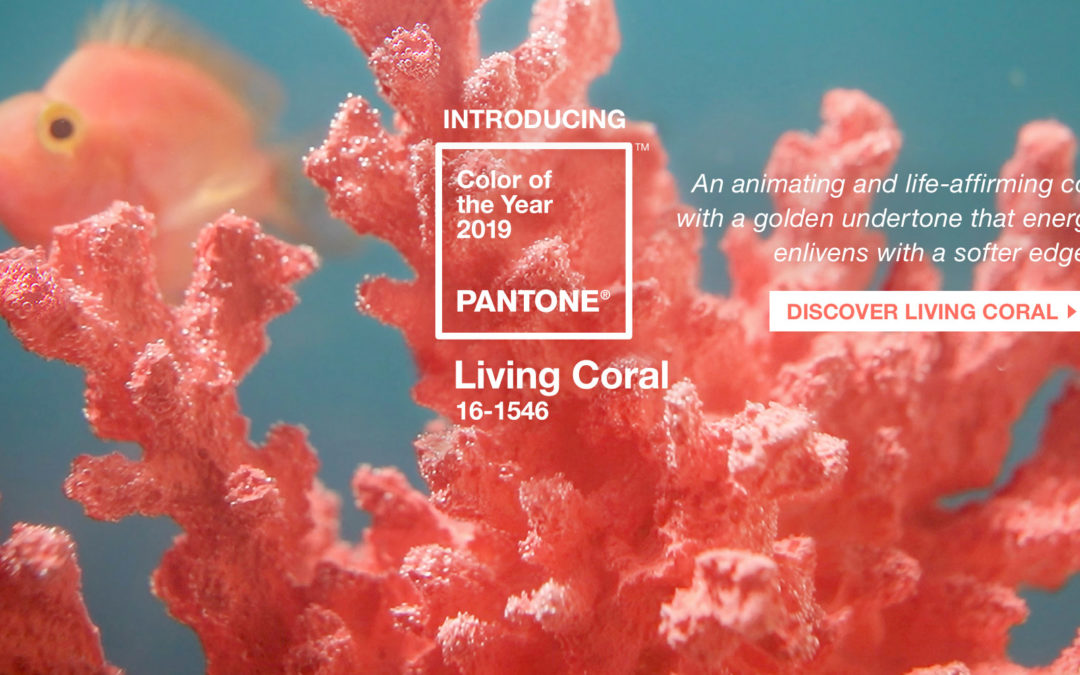 Saiba qual é a Cor Pantone 2019